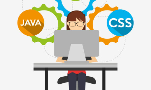 Full Stack Java Developer